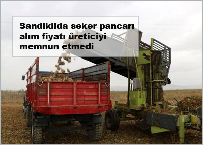 Sandiklida-seker-pancari-alim-fiyati-ureticiyi-memnun-etmedi