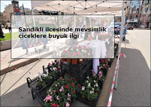 Sandikli-ilcesinde-mevsimlik-ciceklere-buyuk-ilgi