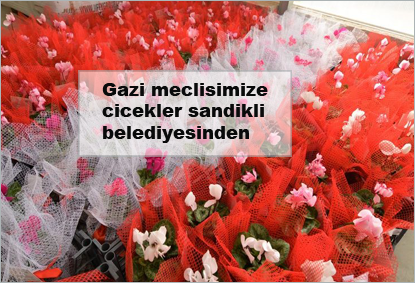 gazi-meclisimize-cicekler-sandikli-belediyesinden