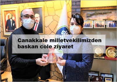 Canakkale-milletvekilimizden-baskan-cole-ziyaret