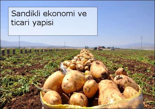 Sandikli-ekonomi-ve-ticari-yapisi