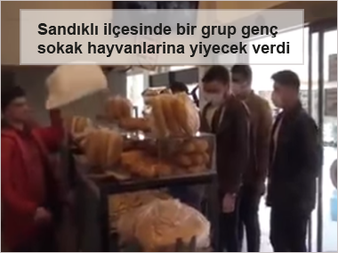 Sandikli-ilcesinde-bir-grup-genc-sokak-hayvanlarina-yiyecek-verdi