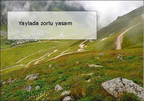 Yaylada-zorlu-yasam